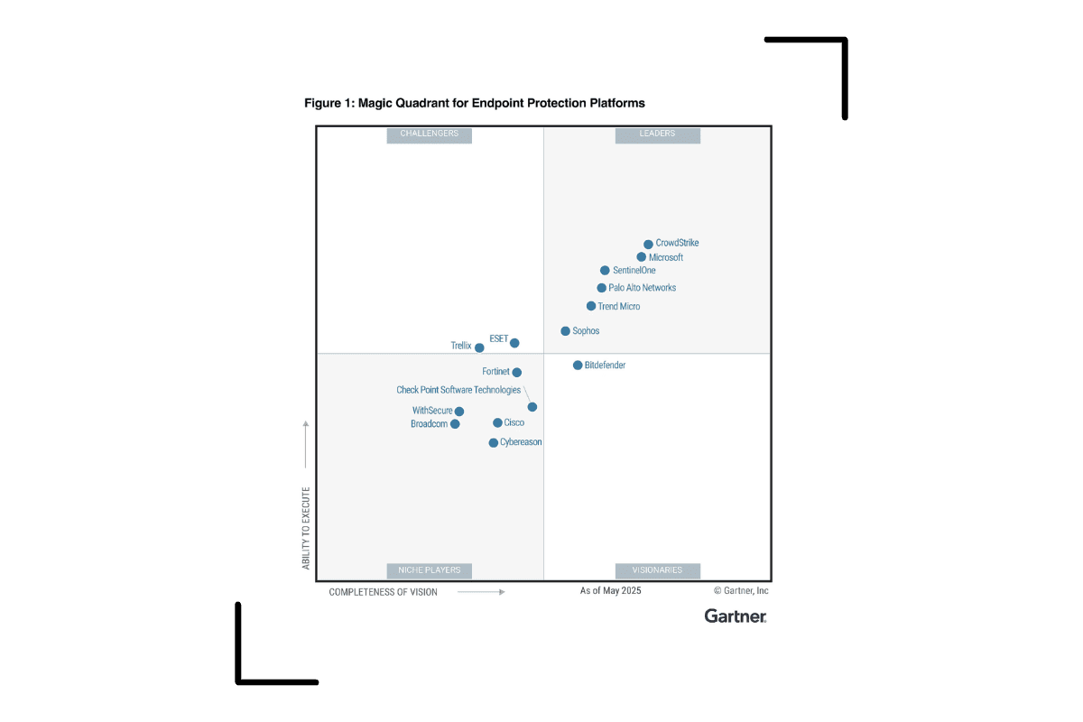 Microsoft als Leader