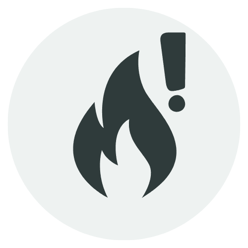 Früherkennung von Risiken icon