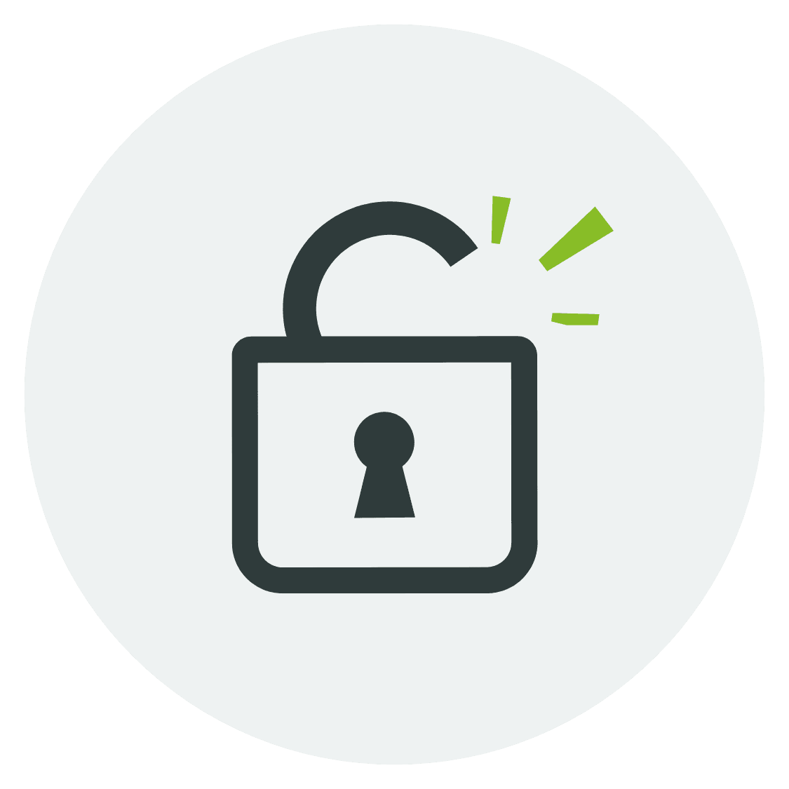Vulnerability Management icon
