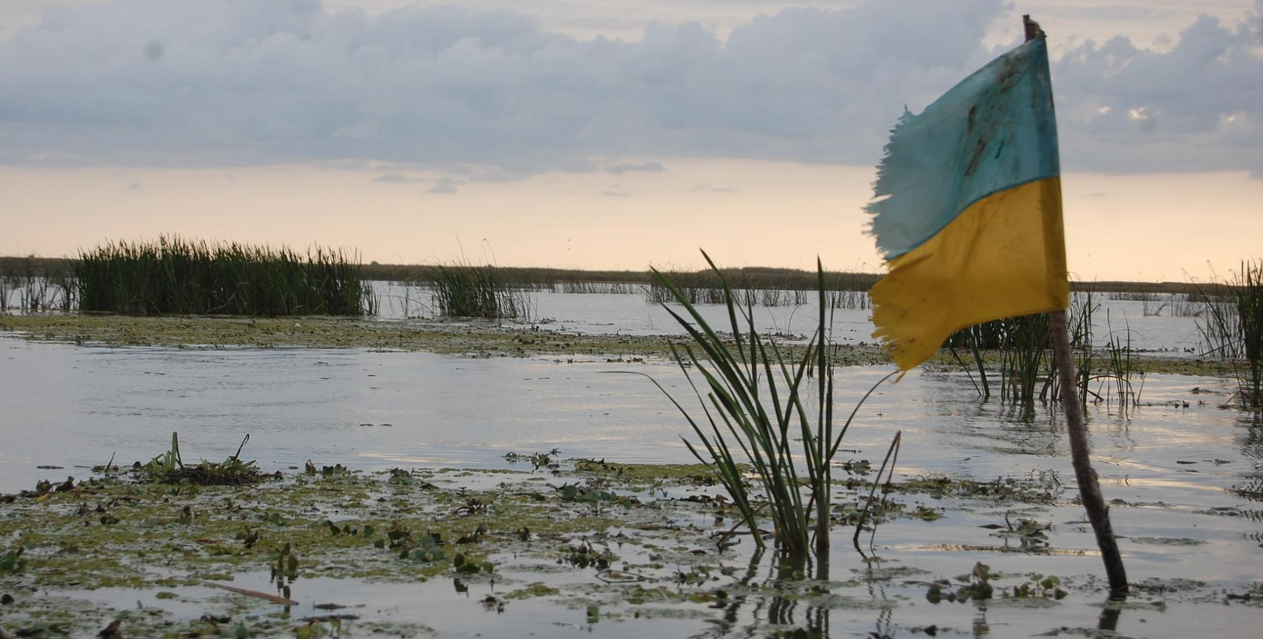 War in Ukraine: Danger of cyber war - What you should do now